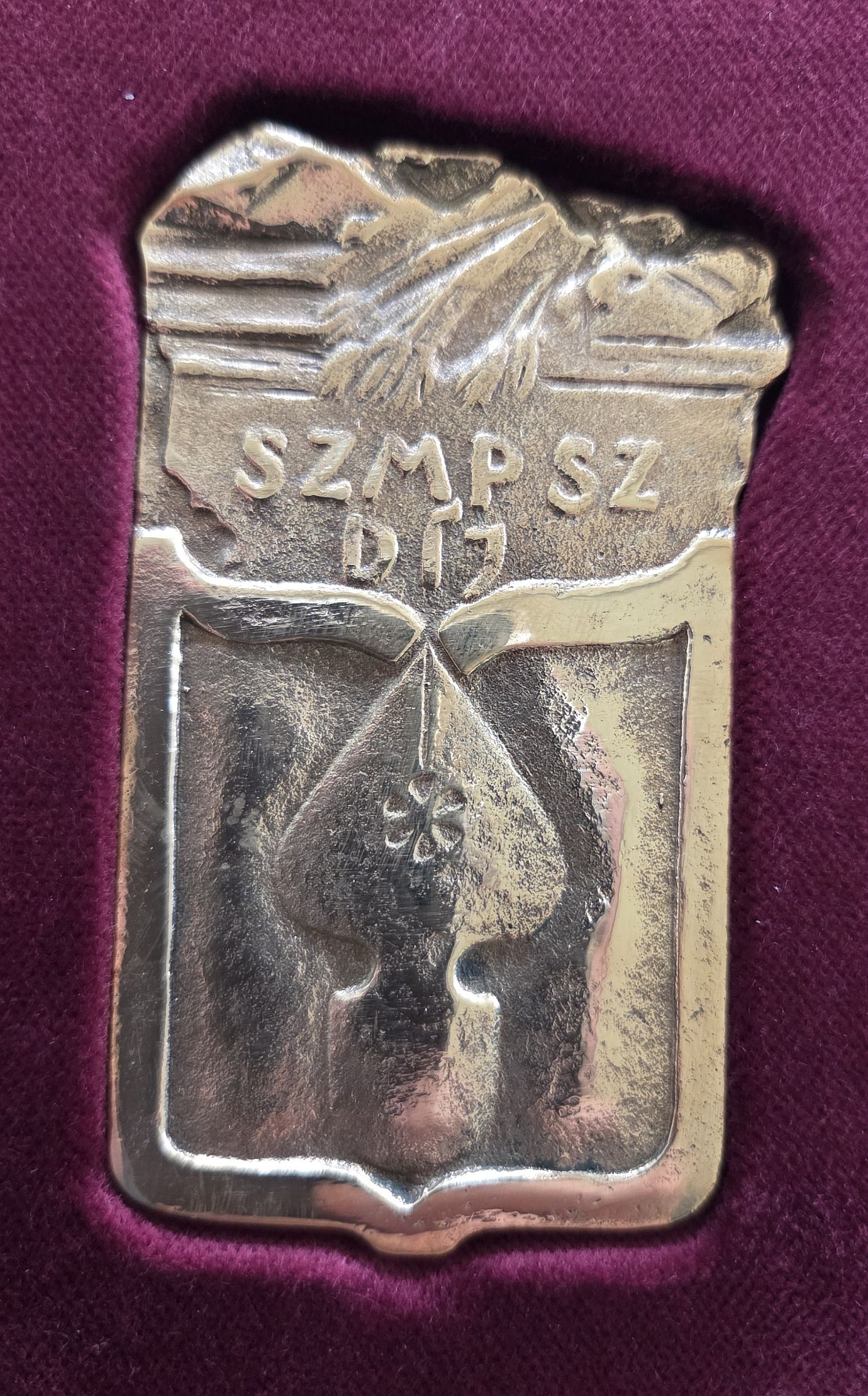 SZMPSZ dij 01